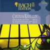 Download track Wer Da Gläubet Und Getauft Wird BWV 37 - V Aria (Basso)