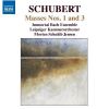 Download track Mass No. 3 In B Flat Major, D. 324, Op. Posth. 141 - Credo - Credo In Unum Deum