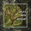 Download track Mozart- Contredanse In D Major, K. 534 -Das Donnerwetter-