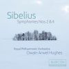 Download track Symphony No. 2 In D Major, Op. 43- IV. Finale. Allegro Moderato
