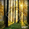 Download track More Or Less (Rob Made Remix)