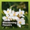Download track 1 Hour Of Soft Water Streams, Pt. 2