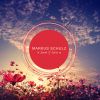 Download track Empty Streets (Markus Schulz In Search Of Sunrise 20 Extended Remix)