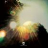 Download track Divinity