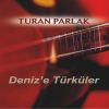Download track Yeşil Başlı Gövel Ördek