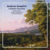 Download track 02. Clarinet Concerto, Op. 35 In E Flat Major - Larghetto. Cantabile
