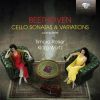 Download track 29.12 Variations On Ein MÃ¤dchen Oder Weibchen Op. 66 - Variation 10: Adagio