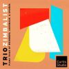 Download track 12 - Piano Trio No. 4 In E Minor, Op. 90, B. 166 Dumky - V. Allegro