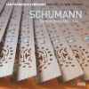 Download track Symphony No. 1 In B-Flat Major, Op. 38, Spring: I. Andante Un Poco Maestoso-Allegro Molto Vivace