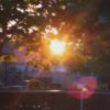 Download track Fairy Summer (Slowed + Reverb)