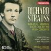 Download track Violin Concerto In D Minor, Op. 8, TrV 110: III. Rondo. Presto