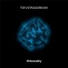Download track Destiny Calling
