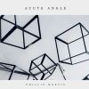 Download track Acute Angle