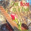 Download track Hold You (Like I Do In Dreams)