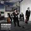 Download track 8. String Quartet No. 14 In D Minor, D. 810 'Death And The Maiden' - IV. Presto - Prestissimo