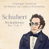 Download track Symphony No. 5 In B-Flat Major, D. 485 III. Menuetto. Allegro Molto - Trio