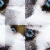 Download track A. N. Other
