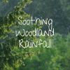Download track Rain And Trees