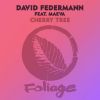 Download track Cherry Tree