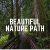 Download track Cannot Keep Spring From Coming