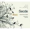 Download track Sen Yoksan