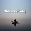 Download track Calm Music For Work And Concentration, Pt. 3