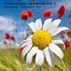 Download track Music Is My Life (Metachemical Remix)