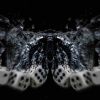Download track I Have A Problem, Pt. 2