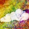 Download track Prescripted Nights Rest