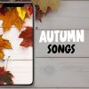 Download track Different Kind Of Beautiful