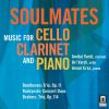 Download track Piano Trio No. 4 In B-Flat Major, Op. 11 