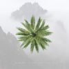 Download track Data Root Multiplex (Original Mix)