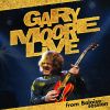 Download track Oh, Pretty Woman (Live)