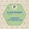 Download track Labyrinth