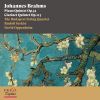 Download track 05. Clarinet Quintet In B Minor, Op. 115 I. Allegro