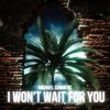 Download track I Won't Wait For You