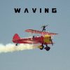 Download track Ruby Throated Hummingbird