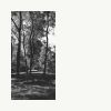 Download track Cultivated Ambiance For Mental Exercises