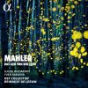 Download track 5. V. Der Trunkene Im Frühling