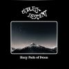 Download track Book Of Vile Darkness