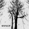 Download track Katydid