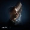 Download track Fear Of A Silent Spring (The Saint)