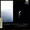 Download track Winterreise, D. 911: XVIII. Der Stürmische Morgen