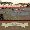 Download track 'Love Is Strange' Calypso