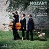 Download track String Quartet No 16 In E Flat Major, K 428, 1. Allegro Ma Non Troppo