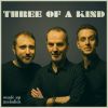 Download track A Kind Of Tree
