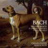 Download track Violin Sonata No. 6 In G Major, BWV 1019a I. Cantabile Ma Un Poco Adagio