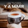 Download track Mystery Lady