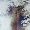 Download track Between The Trees