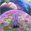 Download track NTS